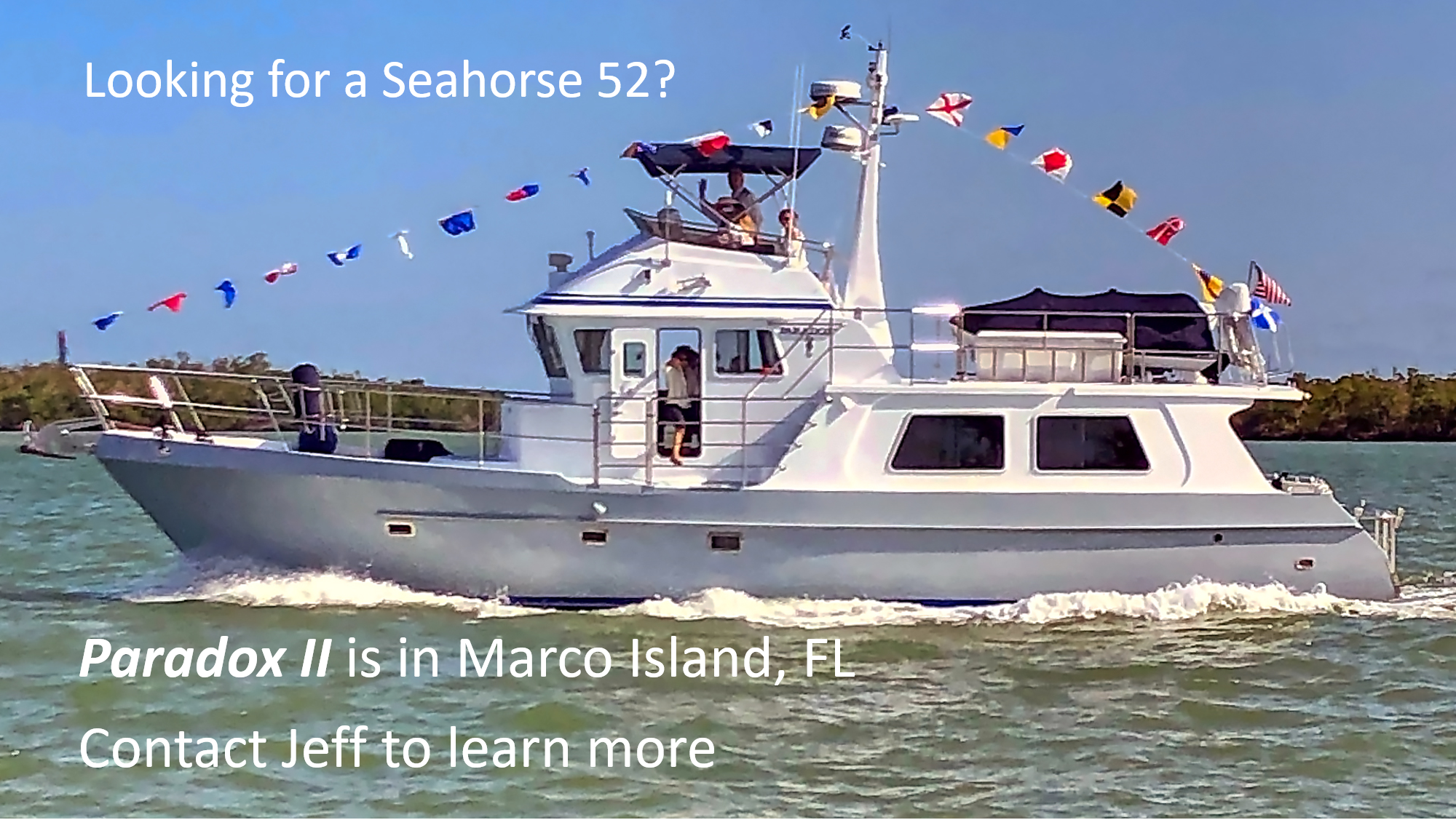 Looking for a Seahorse 52?