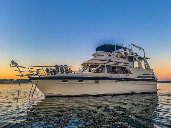 Picture of Hi-Star Sundeck 48 - Renaissance